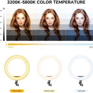 Ring Light,19inch LED Ring Light with Stand &LCD Display Adjustable Color Temperature 3000K-5800K, Makeup Light for YouTube Video Shooting, Portrait, Vlog, Selfie 【Upgraded Version】