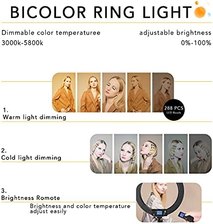 LED Ring Light with Stand and Phone/iPad Holder, 19 Inch 60W Bicolor 3000K-5800K Large Circle Light with Remote Controller for Photography/YouTube Video/Self-Portrait Shooting/Live-Stream - Image 2